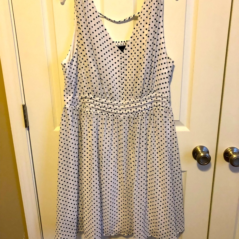 Lane Bryant Dress